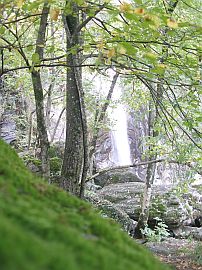 Waterfall in Aurigeno