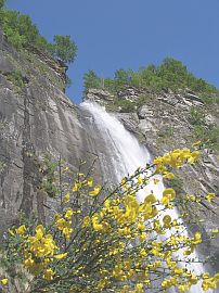 Waterfall in Bignasco 