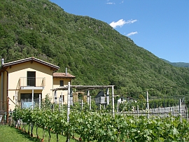 east view - guesthouse Maggia Valley