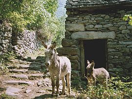 Valle del Salto, Maggia, Ticino