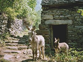 Valle del Salto, Maggia, Ticino