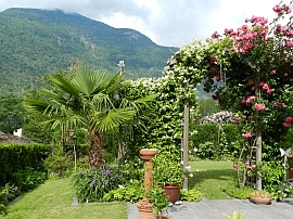 Maggia - holiday apartment with garden