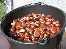 roasting chestnuts in October
