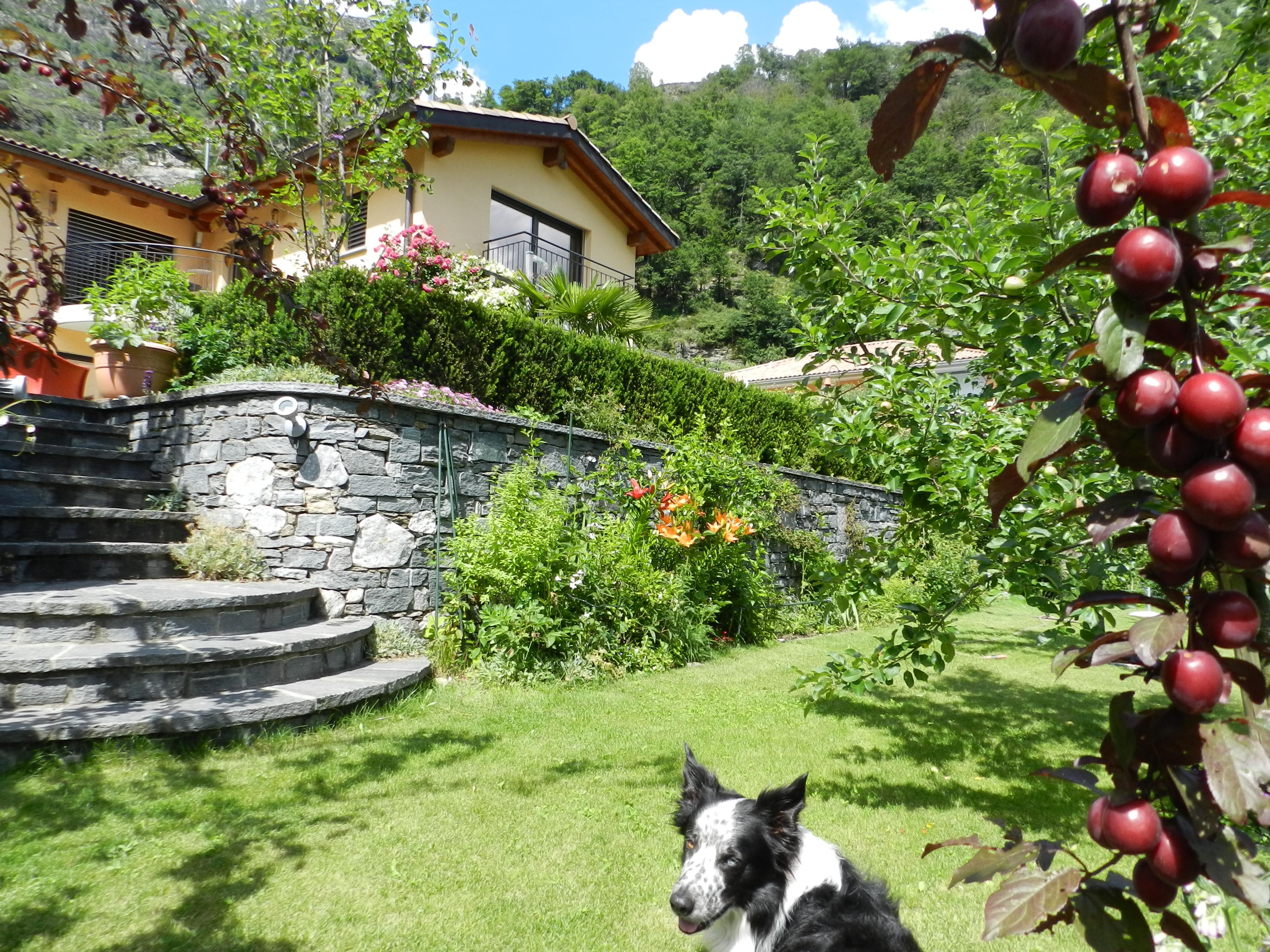 Casa alla Cascata - self-catering holiday apartment Maggia Valley - House by the waterfall