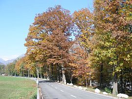 autumn colours in Moghegno, Maggia Valley