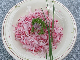 radish salad fresh from the garden - May