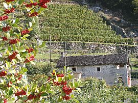 stone house seen from Casa alla Cascata, Maggia