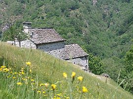 stone houses in the Maggia Valley