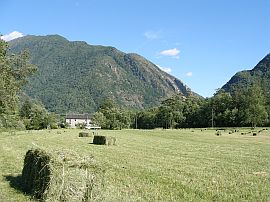 Making hay in the Maggia Valley, Ticino