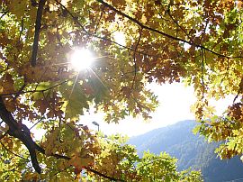 autumn sun in the Maggia Valley