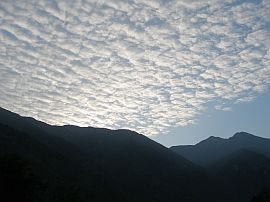 coton sheep clouds in Vallemaggia